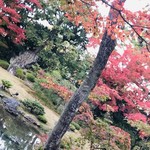 用戶對於無鄰菴的評論圖