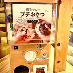 用戶對於猫カフェMOCHA 秋葉原店的評論圖