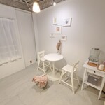 User's review image for papillon