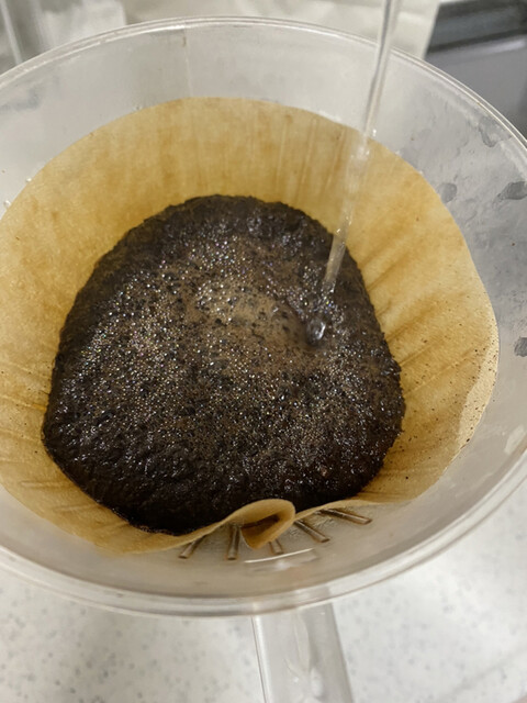 用户对于4Trees coffee 焙煎LABO堺的评论高清图