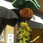 用户对于松井酒造的评论图