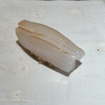 用户对于鮨m的评论图