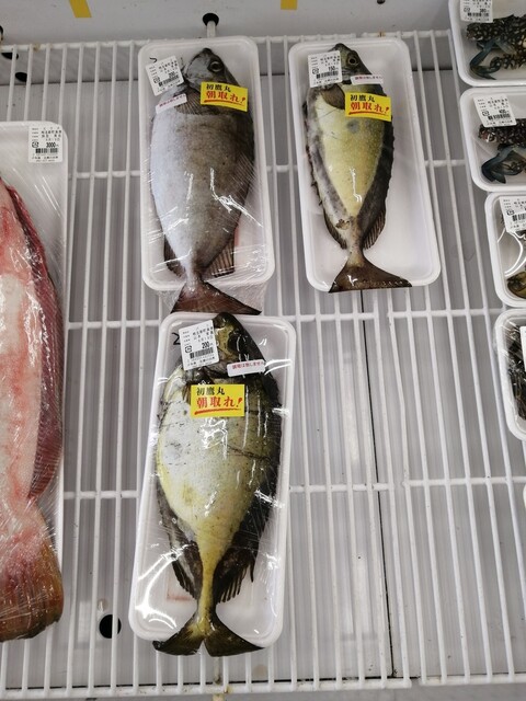 User's recommendation image for JF糸島 志摩の四季