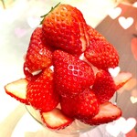 User's review image for APOLLON FRUIT GARDEN