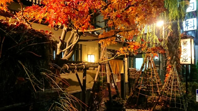 用户对于蕎麦・料理 籔半的评论高清图