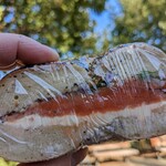 用戶對於BAGEL STANDARD的評論圖