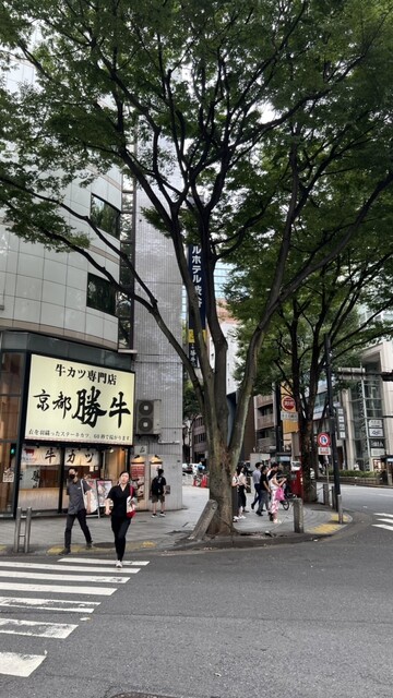用戶對於牛カツ京都勝牛 渋谷道玄坂店的評論高清圖