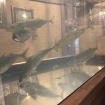 用戶對於北九州酒場的評論圖