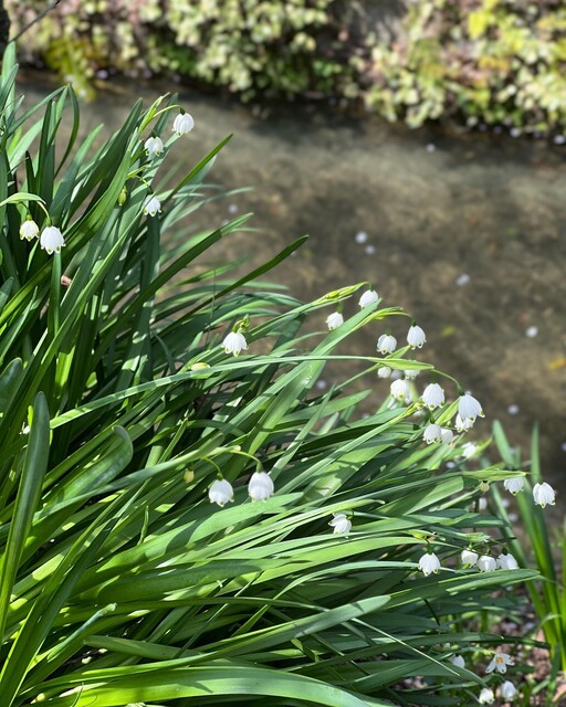 User's recommendation image for リバーサイドカフェ グリーンテラス