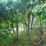 User's review image for 国民宿舎 桂田