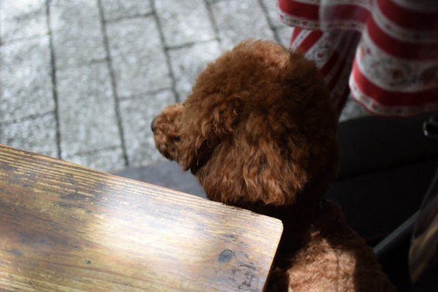 User's recommendation image for Cafe Restaurant AUREOLE