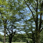 User's review image for Camelback sandwich&espresso