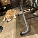 User's review image for cafe de monca