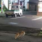 User's review image for 正寿苑焼肉