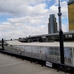 用户对于元祖寿司 浅草駅前店的评论图