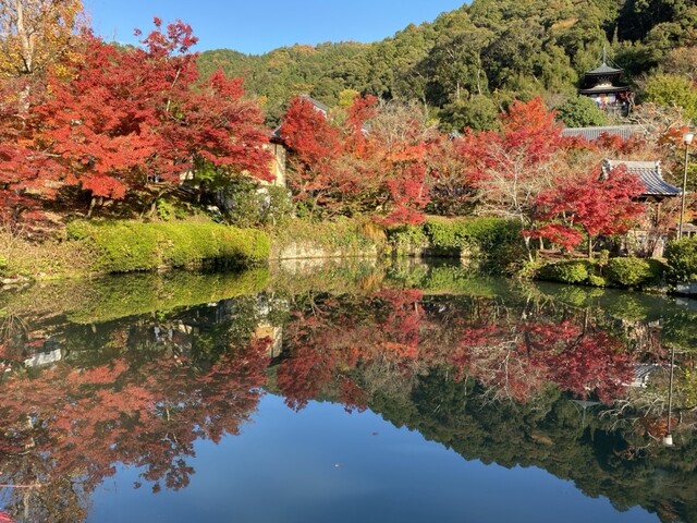 User's recommendation image for みかえり茶屋