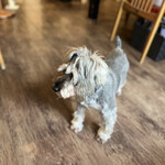 User's review image for Vegeto Coffee