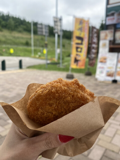User's recommendation image for 十勝平原miniマルシェ