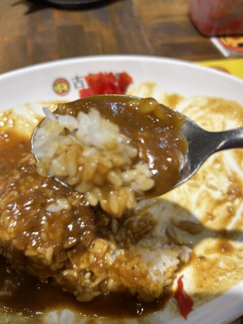 用户对于吉象カレー的评论高清图