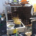 用户对于猪肉・鹿肉 梅本商店的评论图