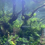 用戶對於AQUA GARDEN KYOTO的評論圖