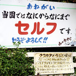 用戶對於城山オレンヂ園的評論圖