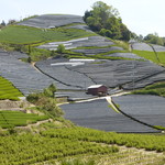 User's review image for 和束茶屋　山甚