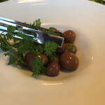 用户对于チェロステラート ウィンザー的评论图