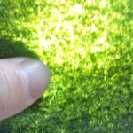 用戶對於五味商店 工場直売所的評論圖