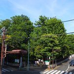 User's review image for Calva