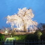 User's review image for 開花亭