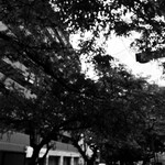 用戶對於松屋 桜川店的評論圖