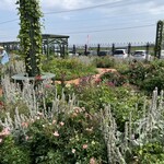 用戶對於ロイズ ロイズタウン工場直売店的評論圖