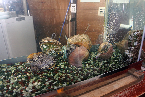 用戶對於三好寿し的評論圖