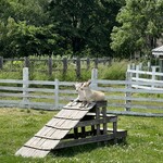 User's review image for ファームレストラン千代田