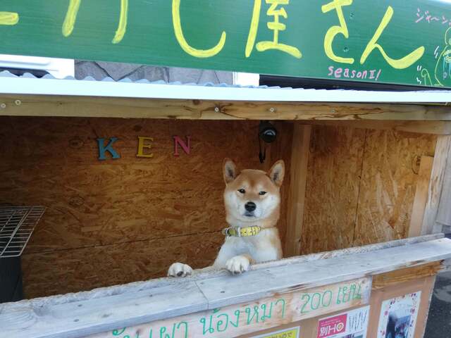 用戶對於犬のやきいも屋さん的評論高清圖