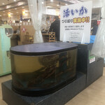 用户对于回転寿司 えりも岬 菊水元町店的评论图