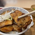 用户对于元祖豚丼屋 TONTON 船場センタービル10号館店的评论图