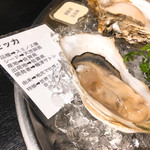 用户对于オイスターバー バールバール プロペッチョ的评论图