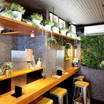 User's review image for sole de conon