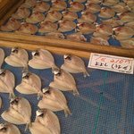 用户对于海楽味的评论图