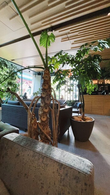 User's recommendation image for CANVAS LOUNGE KOKAGE