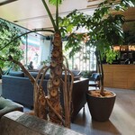 User's review image for CANVAS LOUNGE KOKAGE