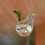 用戶對於cafe doex marie的評論圖