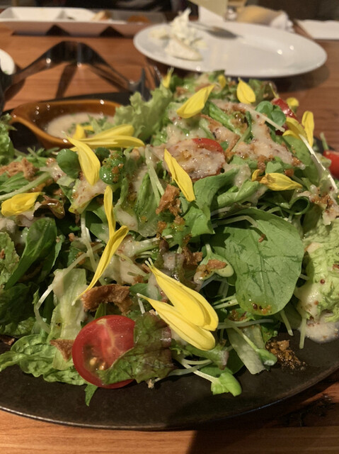 User's recommendation image for 寅善