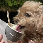 User's review image for PATISSIERE MAYO flat
