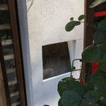 用户对于八幡町 ののか的评论图