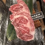 用戶對於焼肉ヌルボンガーデン新宮的評論圖