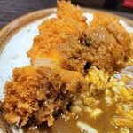 用戶對於CoCo壱番屋 東京メトロ六本木駅前店的評論圖