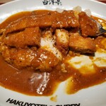 用户对于旨辛カレー専門店 白洋亭的评论图